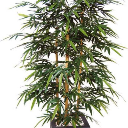 Bamboo Wild Bush 180 - plante artificiale , plante interior, plante lux