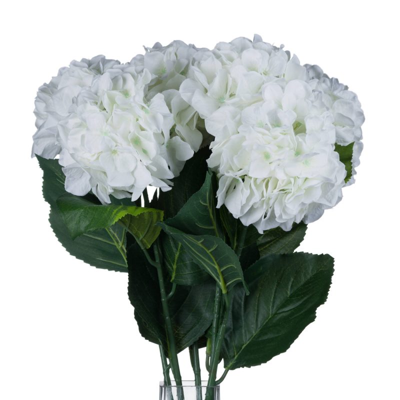 White hydrangea - imagine 4