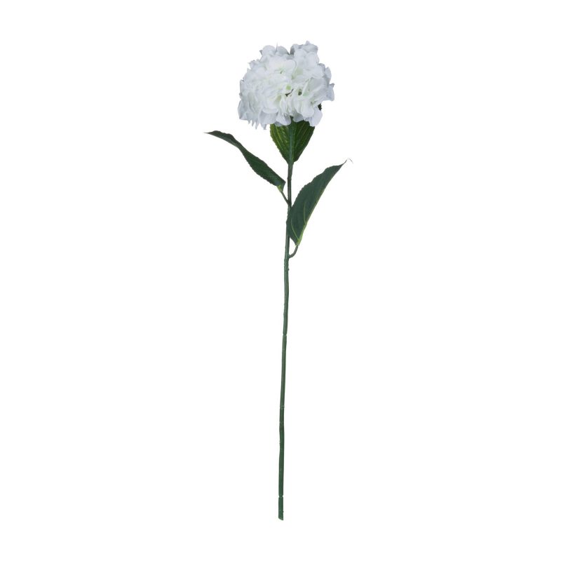 White hydrangea - imagine 6