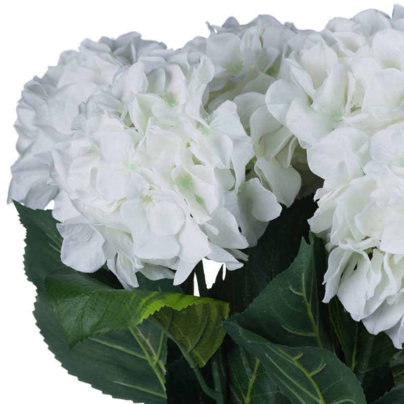 White hydrangea - imagine 7