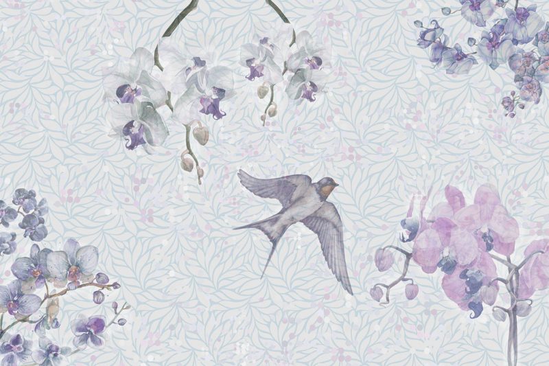 Swallow - imagine 5