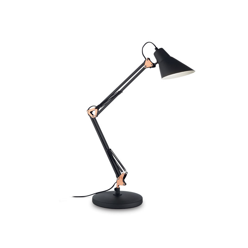 sally Light