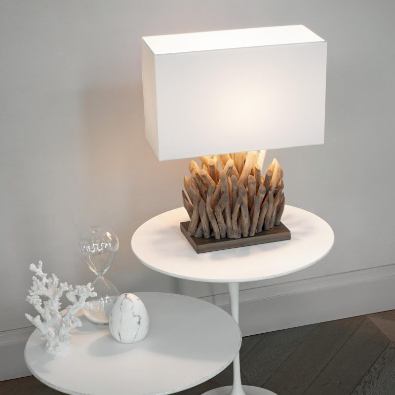 snell Light