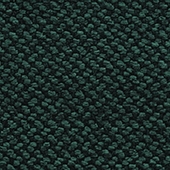 Cros FOREST GREEN