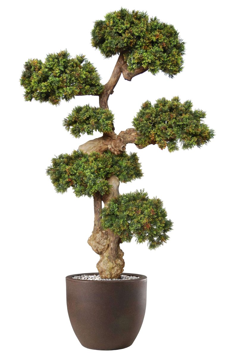 Boxwood Mini Pom Pom 190 cm