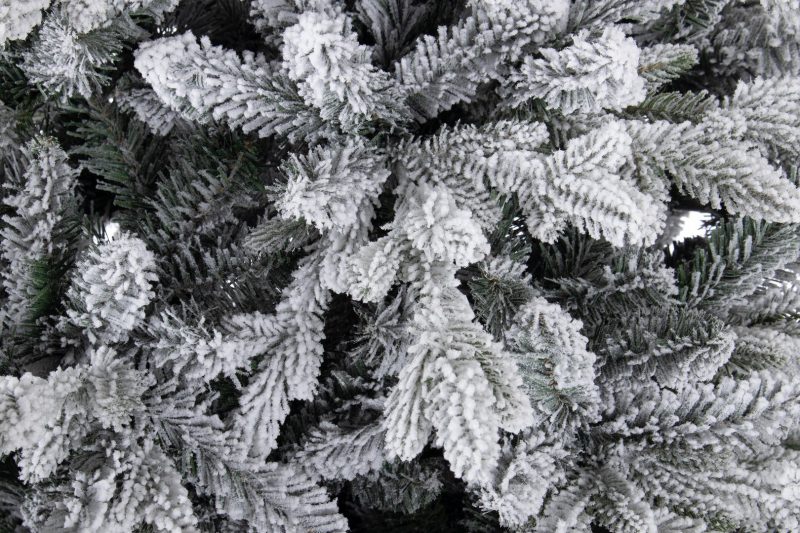 LIVIGNO Snow Tree - imagine 5